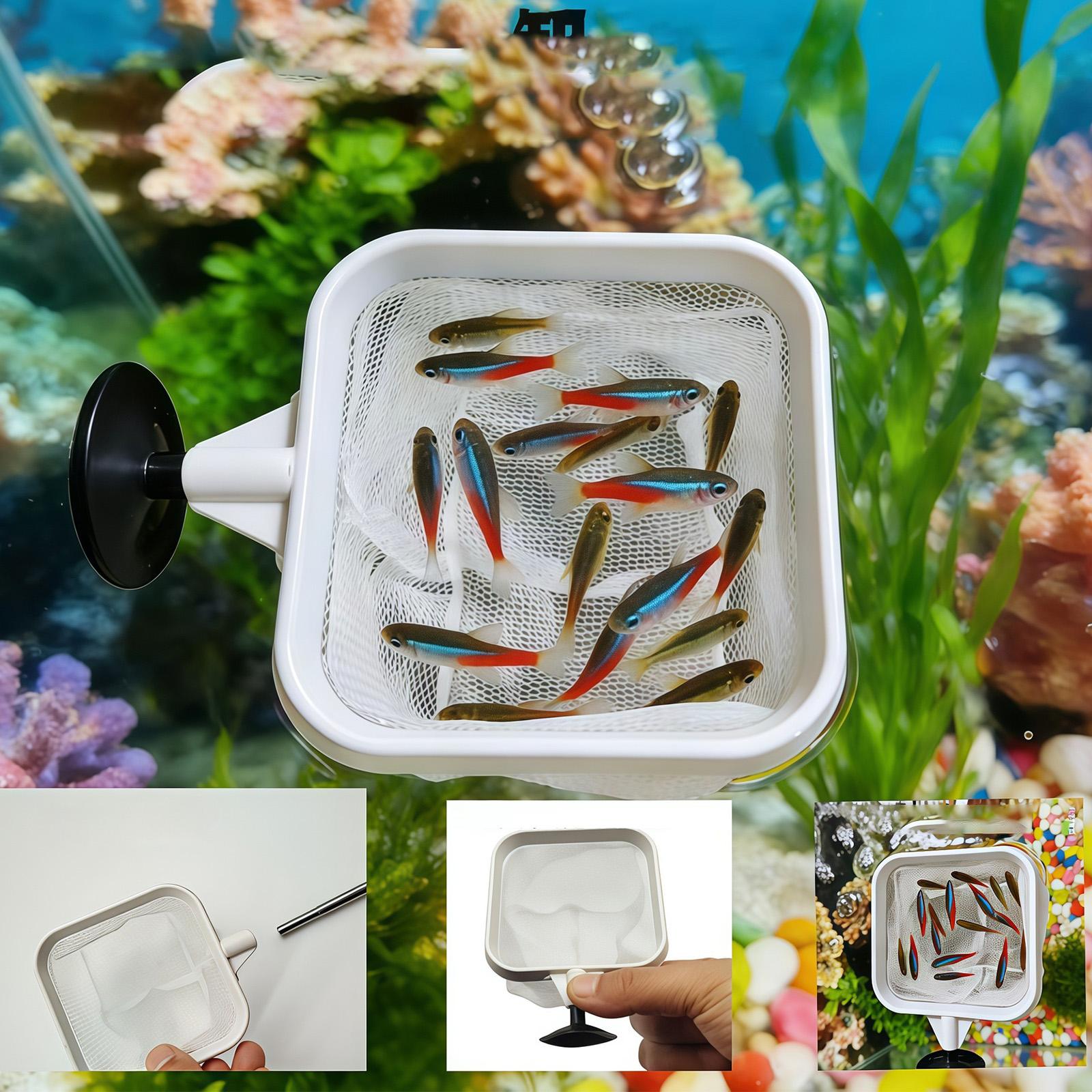 أداة تنظيف مياه خارجية بمقبض ط - مراجعة Fish Net Handle وسعره