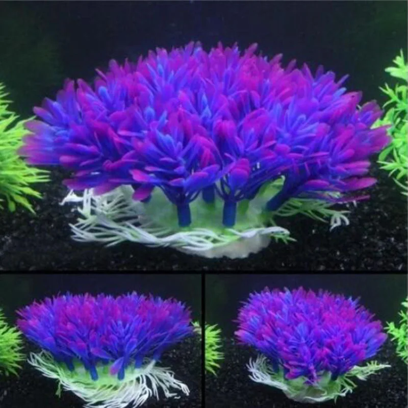 الاصطناعي واسعة قصيرة خزان الأ - مراجعة Aquarium Fish Green وسعره