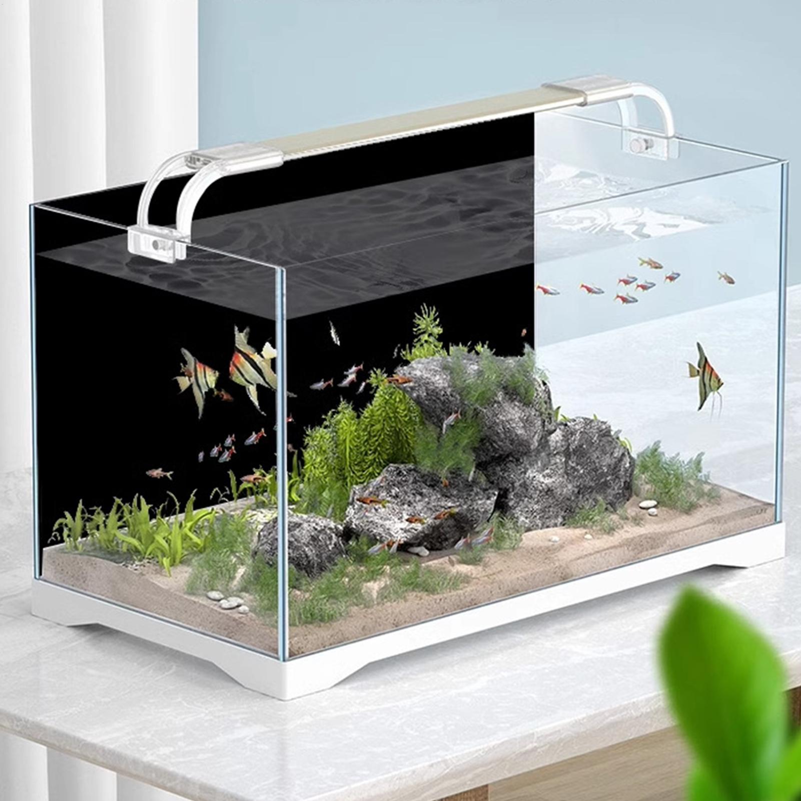 خلفية حوض السمك السوداء، ورق ج - مراجعة Fish In Aquarium Picture وسعره