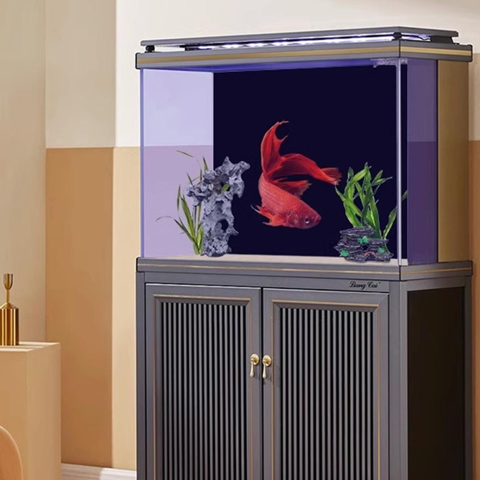 خلفية حوض السمك السوداء، ورق ج - مراجعة Fish In Aquarium Picture وسعره