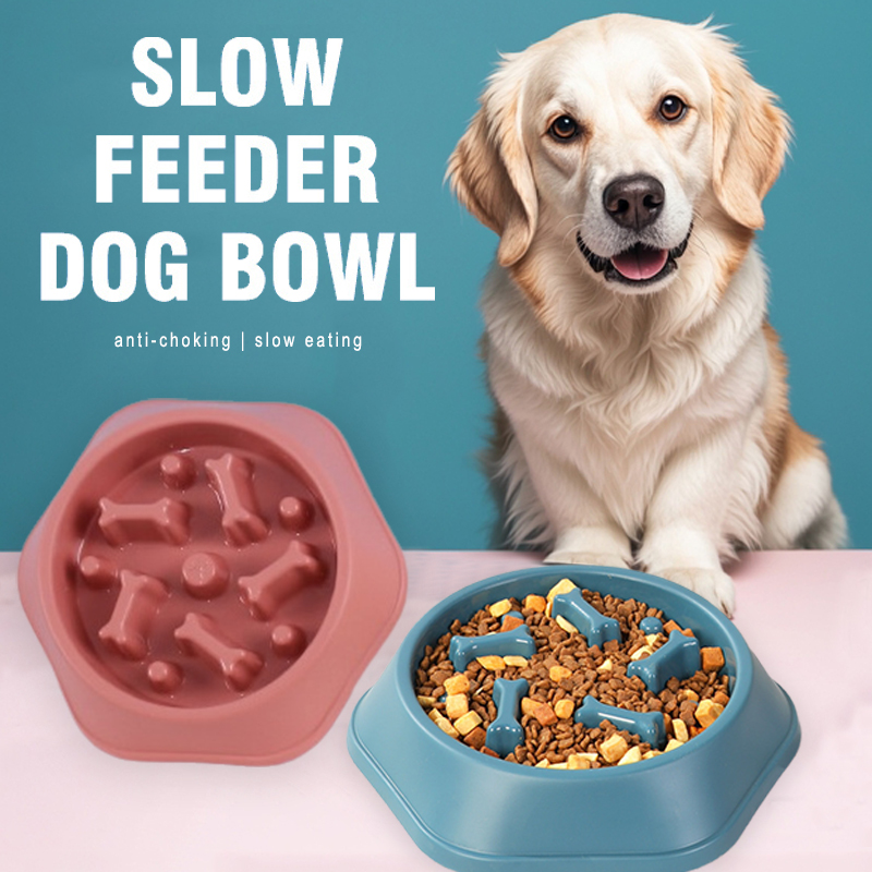 وعاء تغذية بطيئة للكلاب مضاد ل - مراجعة Royal Canin Food Medium وسعره