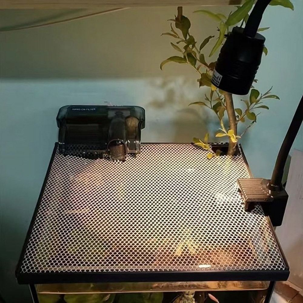 غطاء حوض أسماك مغناطيسي متين س - مراجعة Aquarium Fish Trap وسعره