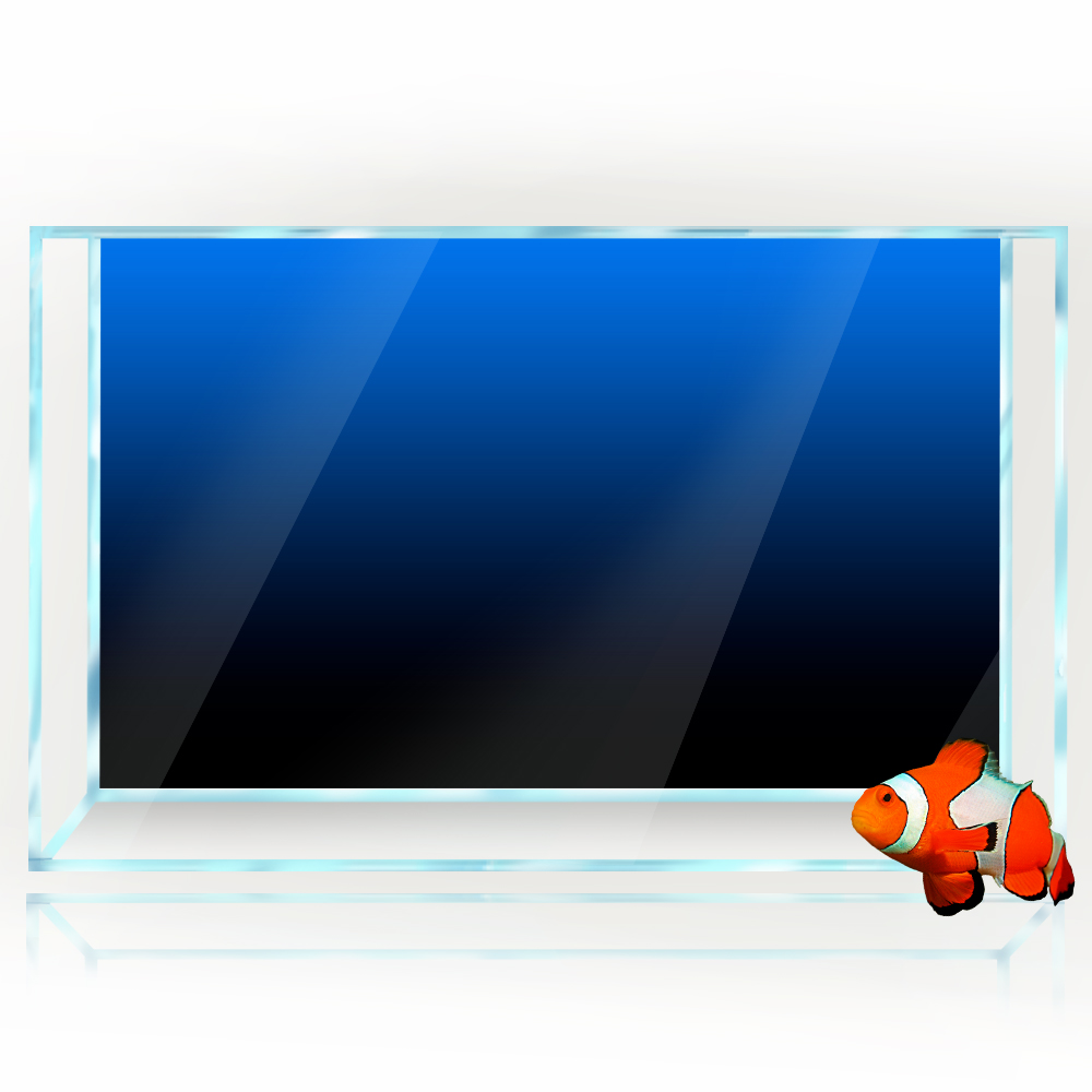 ملصق خلفية لخزان الأسماك أسود  - مراجعة Aquarium Fish Green وسعره