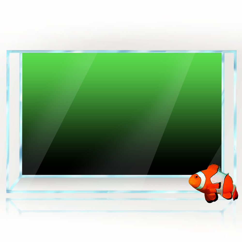 ملصق خلفية لخزان الأسماك أسود  - مراجعة Aquarium Fish Green وسعره