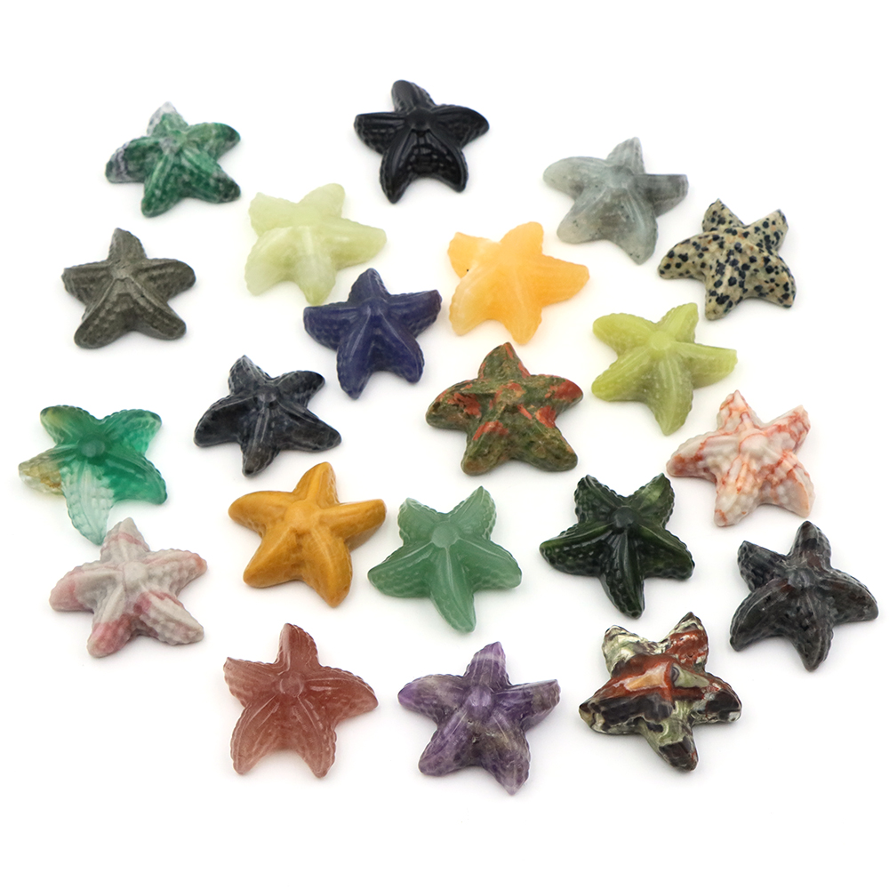 35 مللي متر نجم البحر شكل تمثا - مراجعة Aquarium Fish Usa وسعره