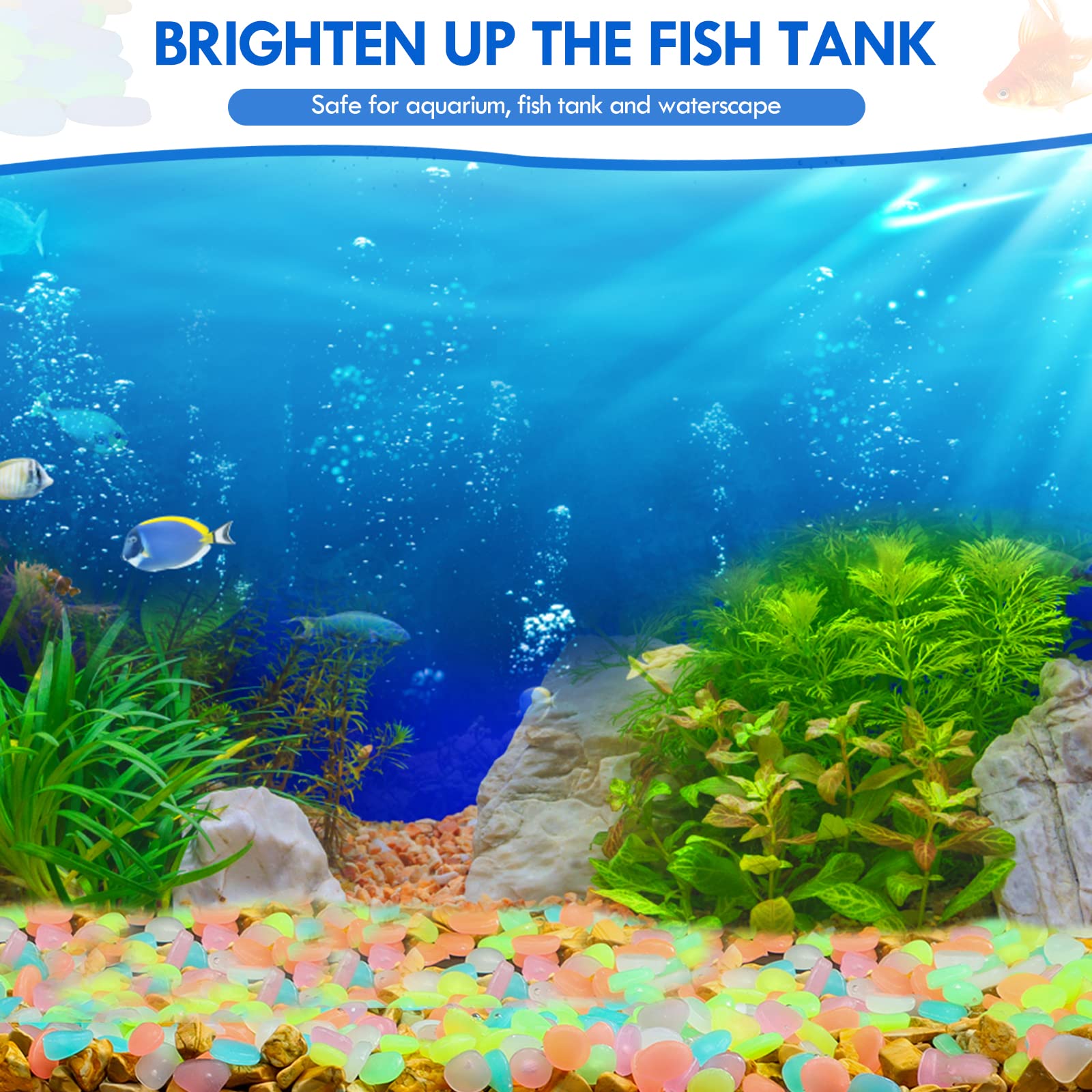 100 قطعة يتوهج في الظلام حديقة - مراجعة Aquarium Fish Glow In The Dark وسعره