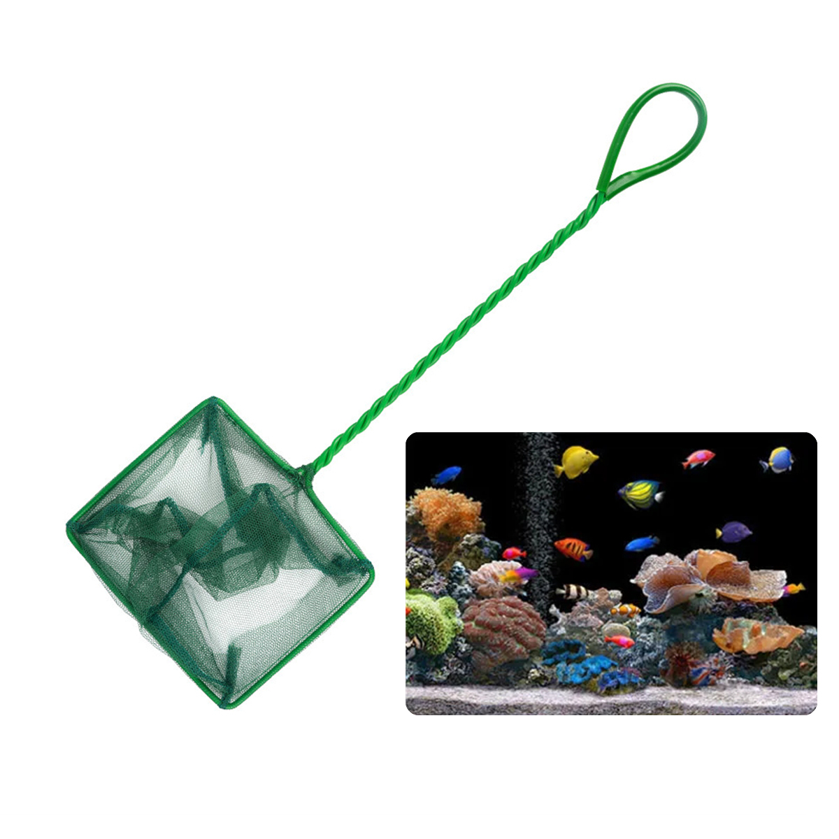 شبكة صيد السمك المحمولة المصنو - مراجعة Aquarium Fish Green وسعره