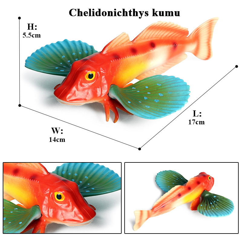 Oenux البحر الحياة الحيوانات ن - مراجعة Fish In Aquarium Picture وسعره
