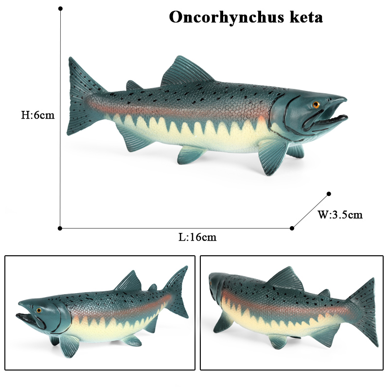 Oenux البحر الحياة الحيوانات ن - مراجعة Fish In Aquarium Picture وسعره