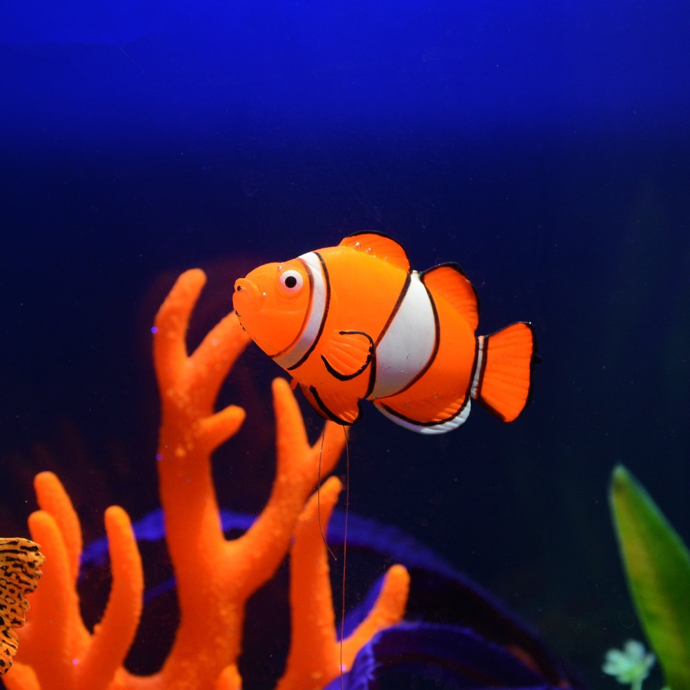 زينة حوض السمك المضيئة في الظل - مراجعة Aquarium Fish Glow In The Dark وسعره