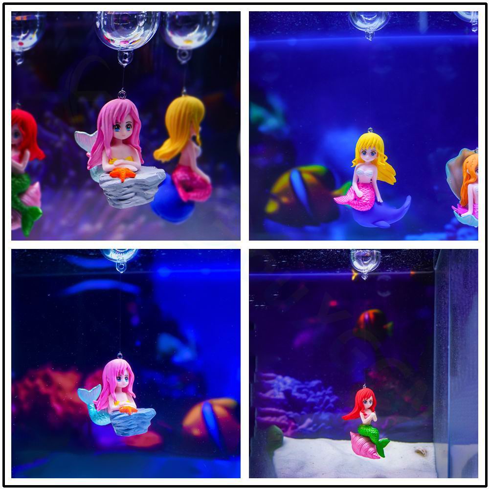 جميلة حورية البحر حوض السمك تع - مراجعة Aquarium Fish Beautiful وسعره