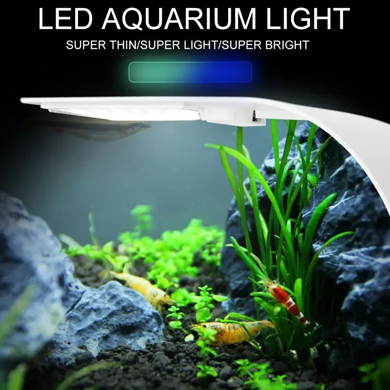 رقيقة جدا LED حوض السمك ضوء 5  - مراجعة Fish In Aquarium Picture وسعره