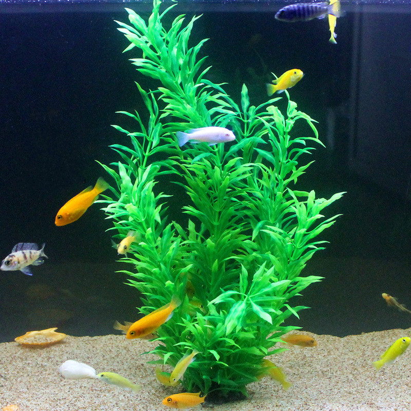نباتات اصطناعية نادرة لأحواض ا - مراجعة Aquarium Fish Green وسعره