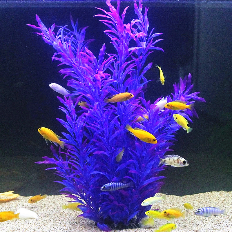 نباتات اصطناعية نادرة لأحواض ا - مراجعة Aquarium Fish Green وسعره
