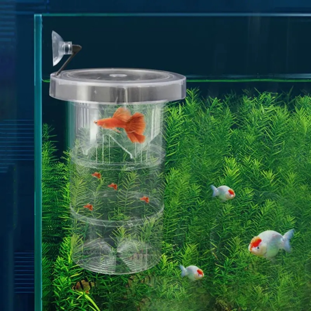 الاكريليك العائمة تربية الأسما - مراجعة Aquarium Fish Marine وسعره