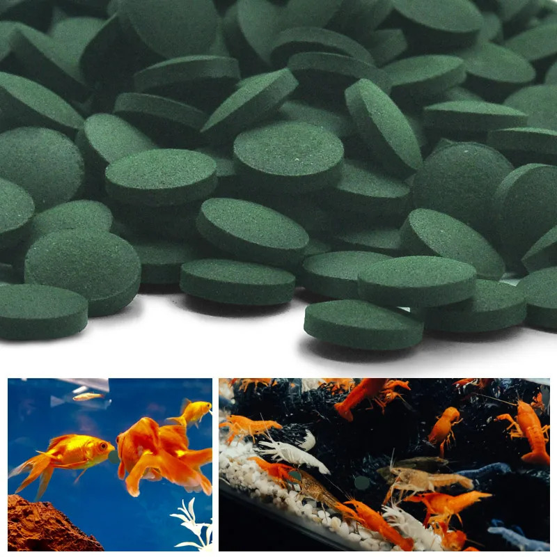 100-1500 قطعة من أقراص سبيرولي - مراجعة Aquarium Fish Usa وسعره