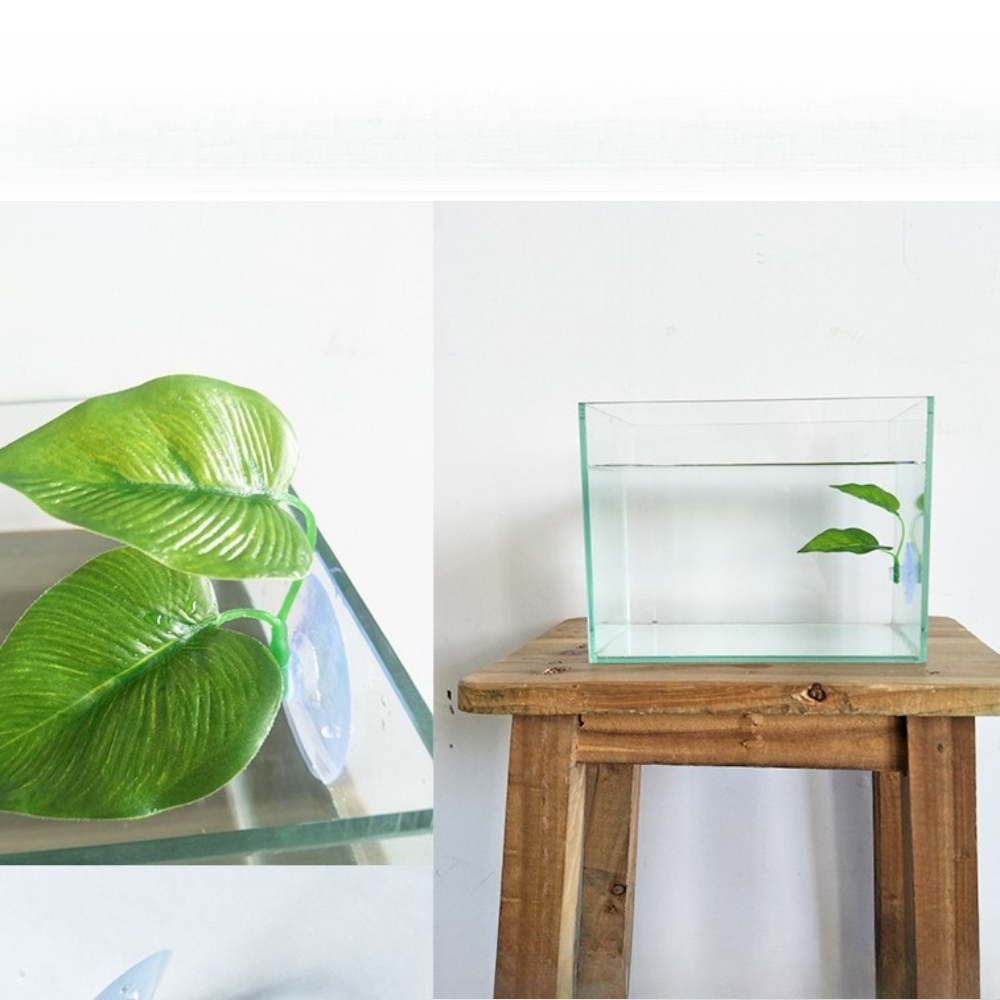 1/3/5/10 قطع من أوراق نباتات ب - مراجعة Aquarium Fish Green وسعره