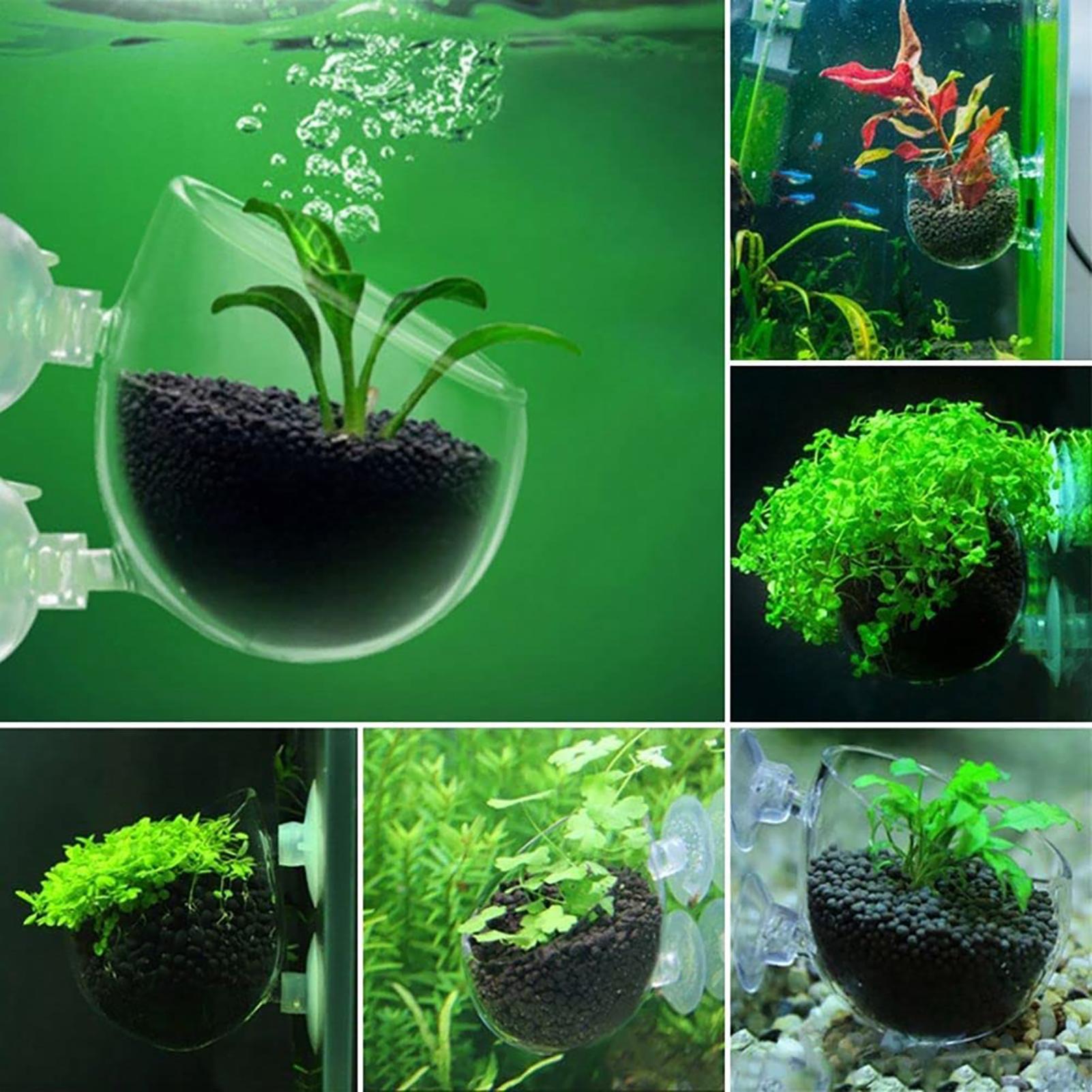 وعاء زرع أكريليك للنباتات الما - مراجعة Aquarium Fish Beautiful وسعره
