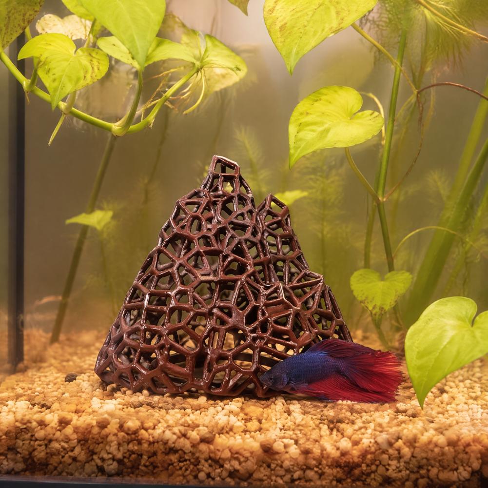 زينة منظر طبيعي مائي، ديكور جب - مراجعة Fish In Aquarium Picture وسعره