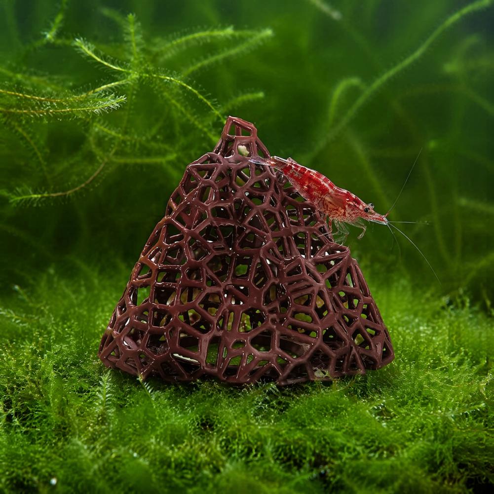 زينة منظر طبيعي مائي، ديكور جب - مراجعة Fish In Aquarium Picture وسعره