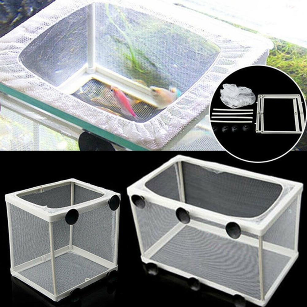 صندوق عزل التفريخ لحوض السمك،  - مراجعة Aquarium Fish Trap وسعره