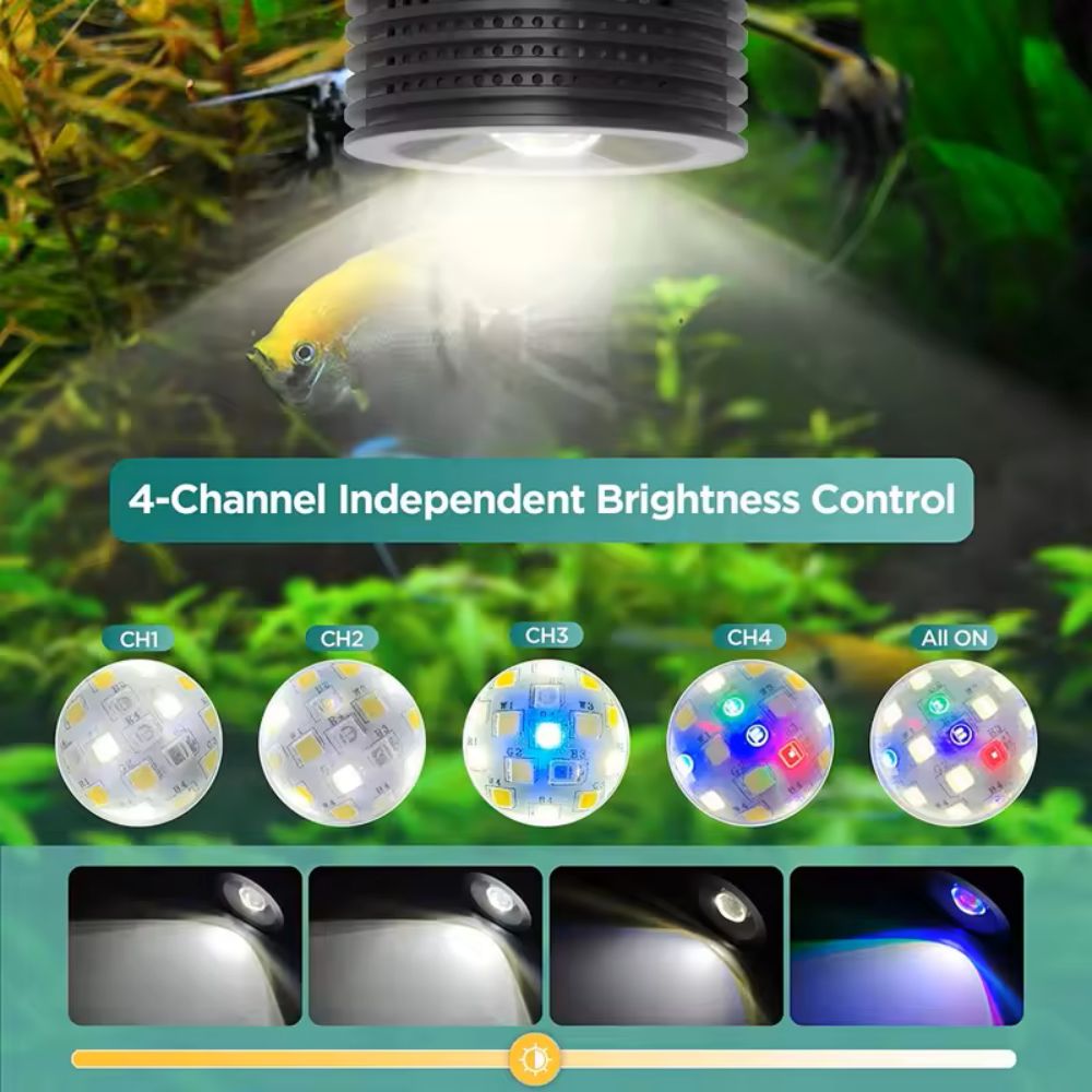 Lominie Asta 20 المياه العذبة  - مراجعة Refugium Light Nano وسعره