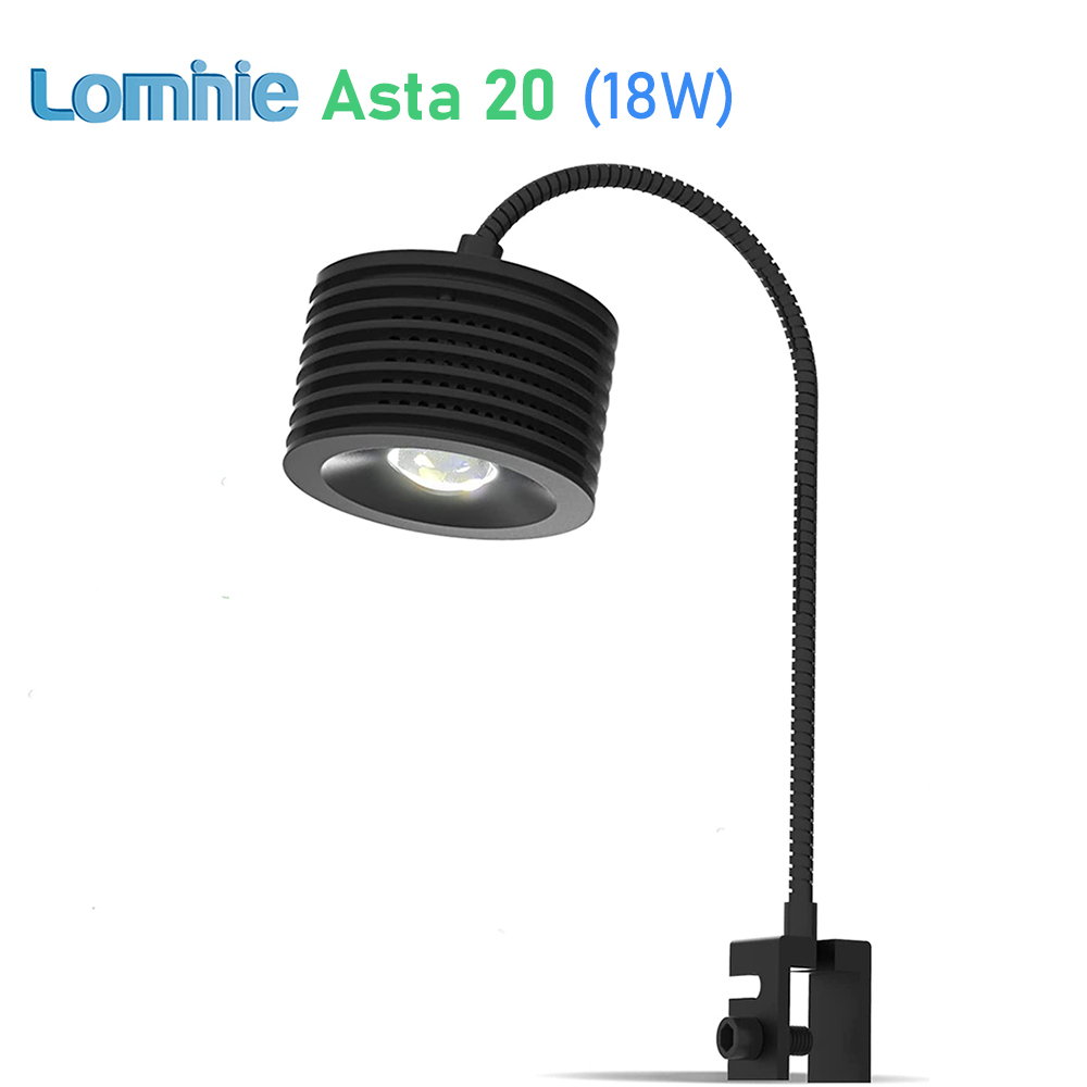Lominie Asta 20 المياه العذبة  - مراجعة Refugium Light Nano وسعره