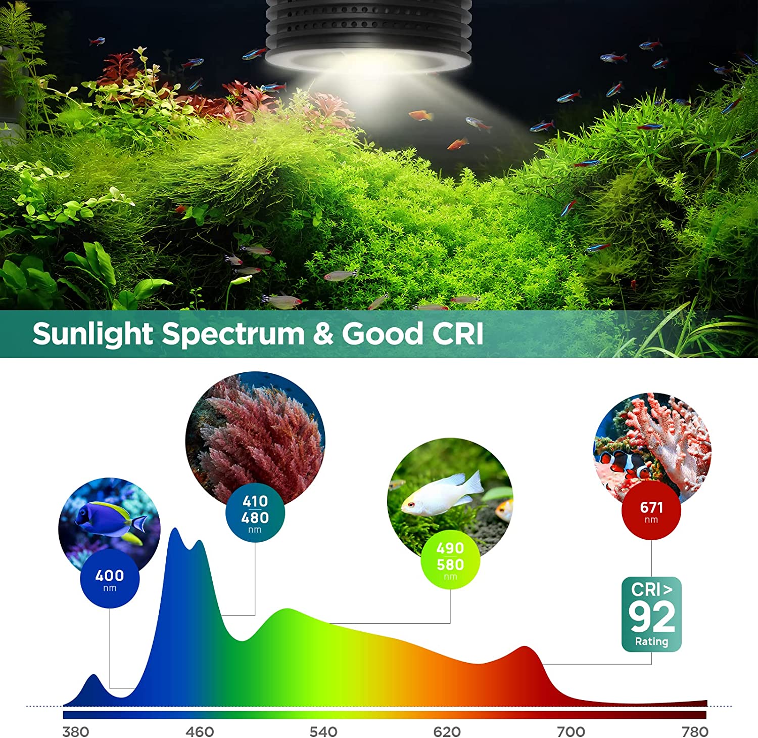 Lominie Asta 20 المياه العذبة  - مراجعة Refugium Light Nano وسعره