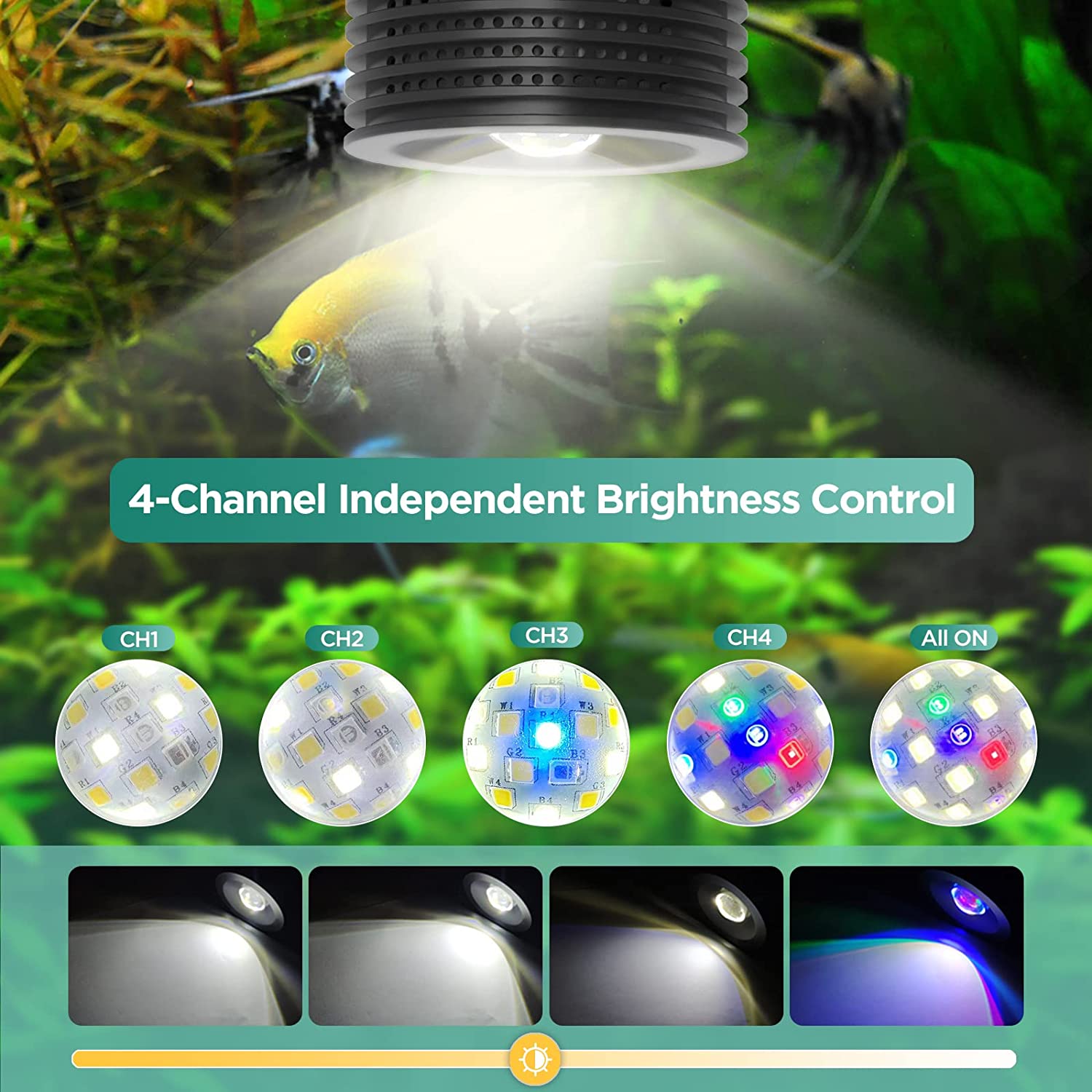 Lominie Asta 20 المياه العذبة  - مراجعة Refugium Light Nano وسعره