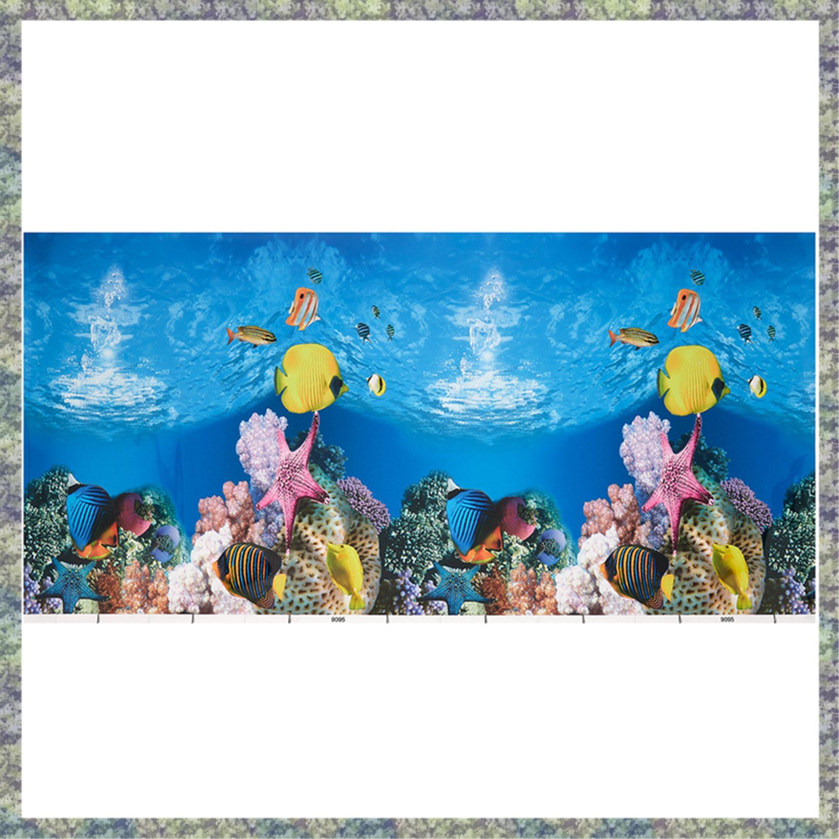 WON حوض السمك ورق خلفية HD صور - مراجعة Fish In Aquarium Picture وسعره