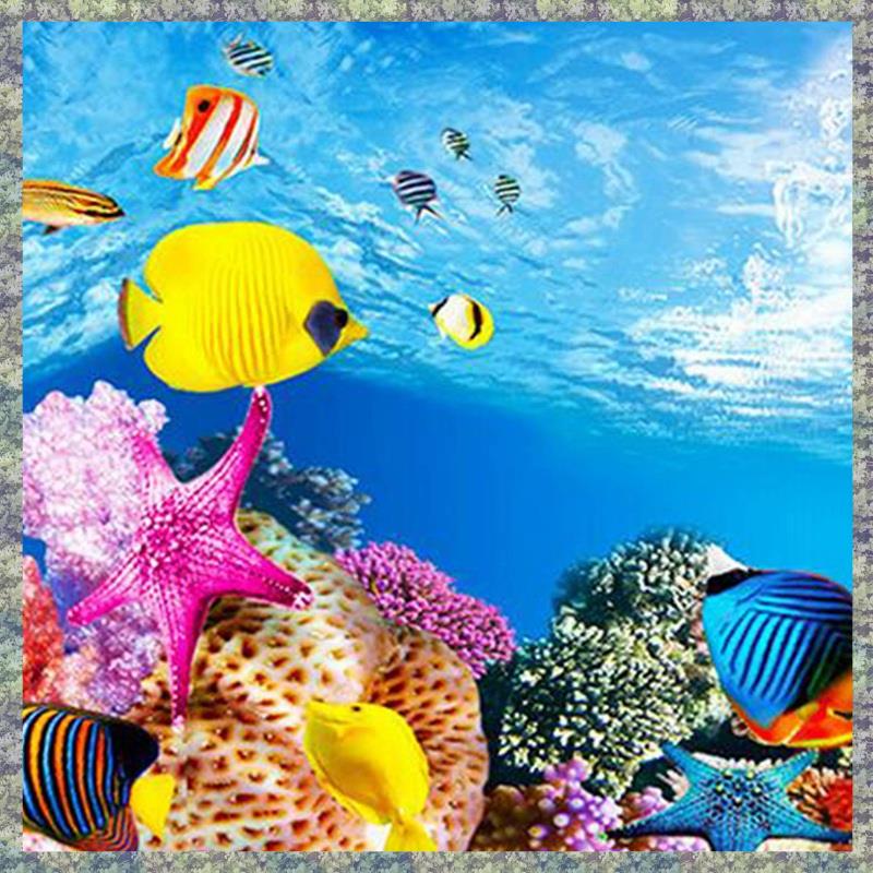 WON حوض السمك ورق خلفية HD صور - مراجعة Fish In Aquarium Picture وسعره