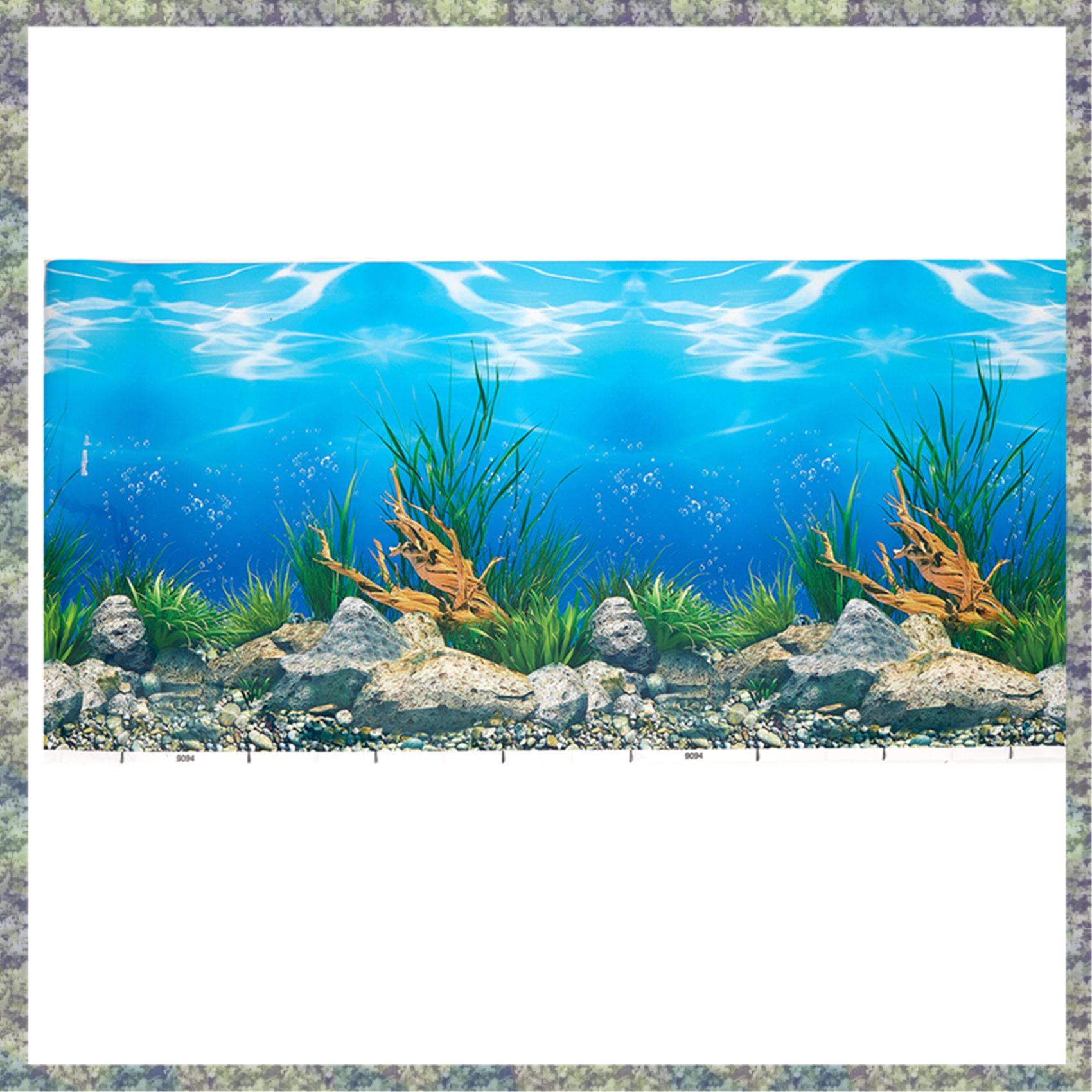 WON حوض السمك ورق خلفية HD صور - مراجعة Fish In Aquarium Picture وسعره