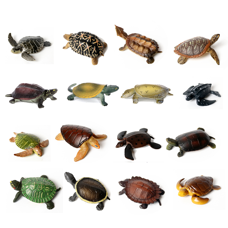 نموذج سلحفاة بحرية للحياة البح - مراجعة Aquarium Fish Marine وسعره
