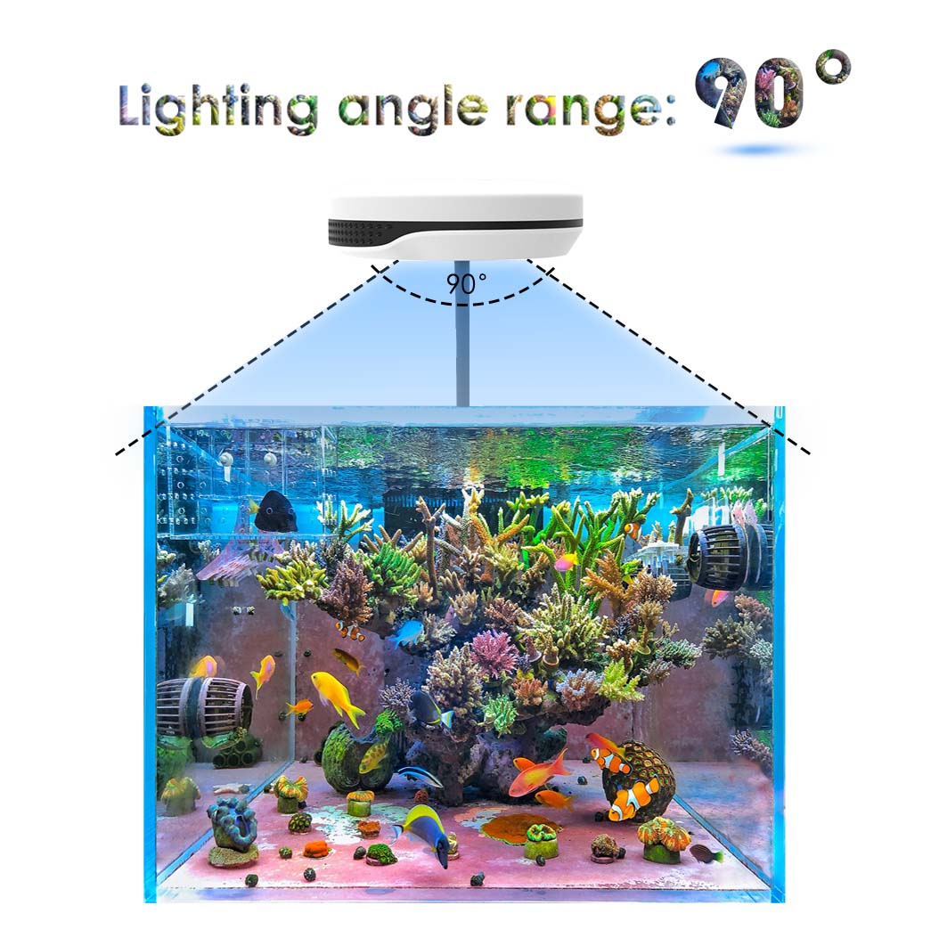 مصباح حوض أسماك LED بقوة 20 وا - مراجعة Refugium Light Nano وسعره