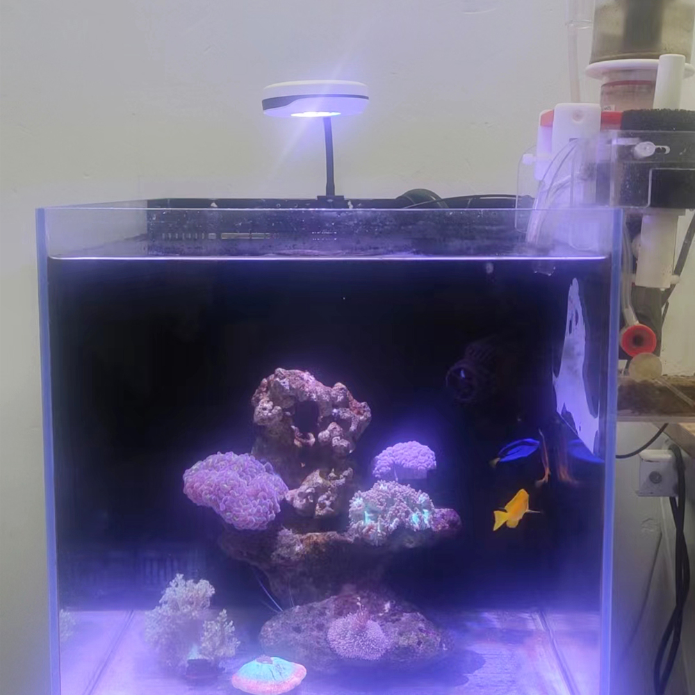 مصباح حوض أسماك LED بقوة 20 وا - مراجعة Refugium Light Nano وسعره